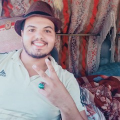 Mohamed A ELmesady