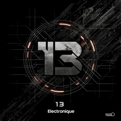 13 Electronique