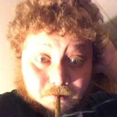 crown willy