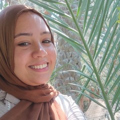 Norhan Sabry