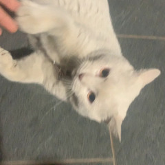 si