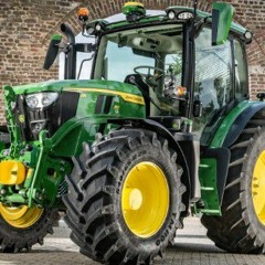 Vlinder Van Den Berg