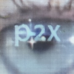 p2x