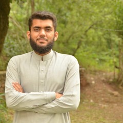 Waleed Butt