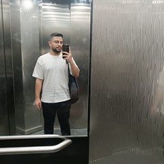 محمود ماجد.