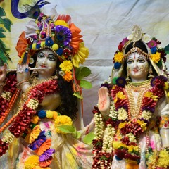 Vivek