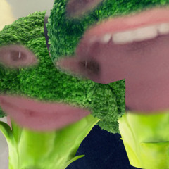 Robbiemcewan006