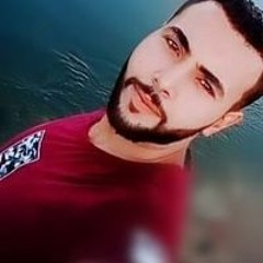 Ramy Elmasry
