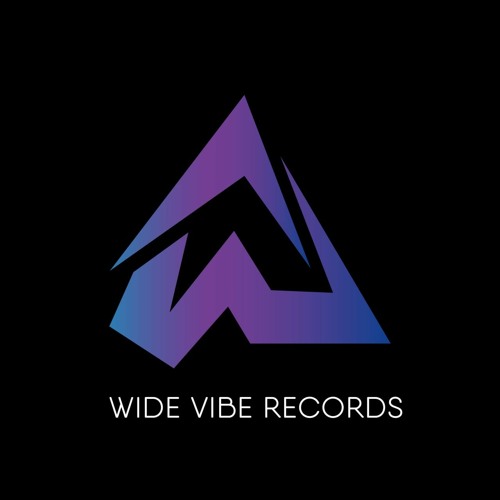 Wide Vibe Records (Ukraine)’s avatar
