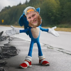 sonig the headhog