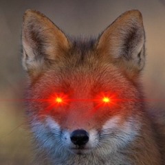 Benny the Fox