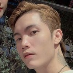 Vincent D - Wild Thvii