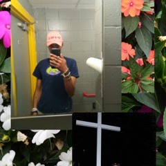 MVRCOS667