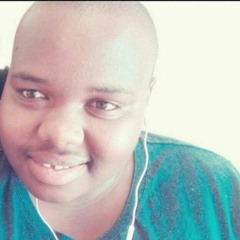 Buchule Bigmac Stinte