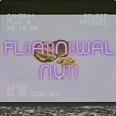 Floatingwalnut1