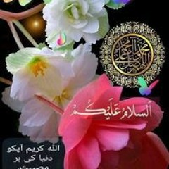 Sohaila Nadeem
