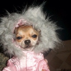 Ta3Way | 1DA MUSIC 24 | 10