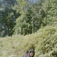 Wahyu Erkapala