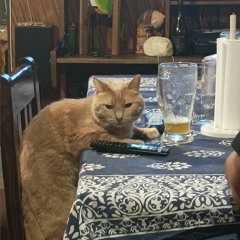 Diego Chavez-Cabello