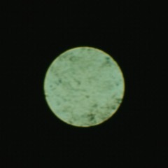 alejandrotero