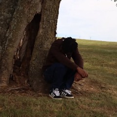 nolifemic