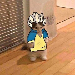 わたと