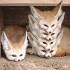 하펜