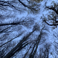 Just another random beat