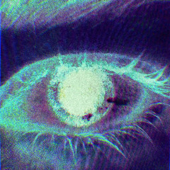 paranoiadestroyer