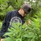 DBotanist