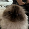 sweet pea