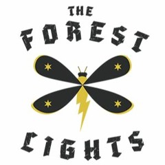 The Forest Lights