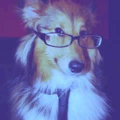 maxx ε(*´･ω･)з