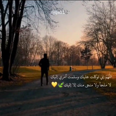 Ahmed Mohamed