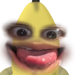 nedsdvd