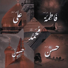 Malik Salman Abbas