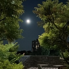 Hno