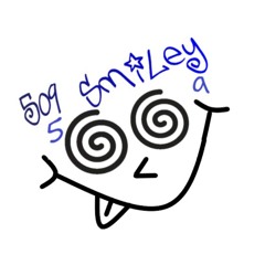 509 smiley