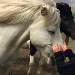 آلَاء وَلِيد.