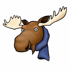 Moose with a Scarf