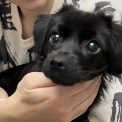 pen dai care look mha