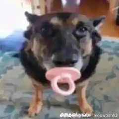 peefagfag