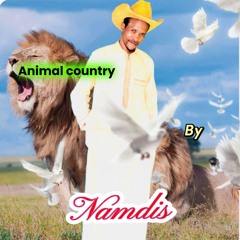 Namdis