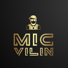 Mic Vilin