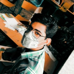 Amir mohammad Ahmadi