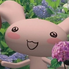 、