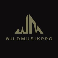 wildmusikpro official