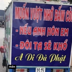 hải trần