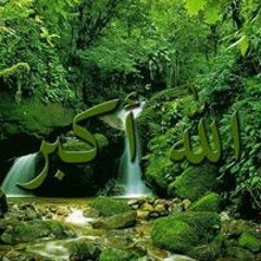ابو عمر