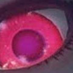 OddRandom (Rednarf)